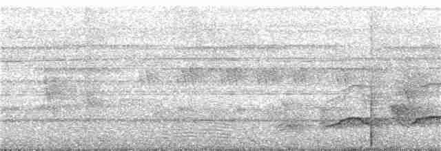 Haubenschlangenadler [cheela-Gruppe] - ML335316721