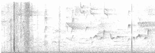 skjeggerygone - ML335492131