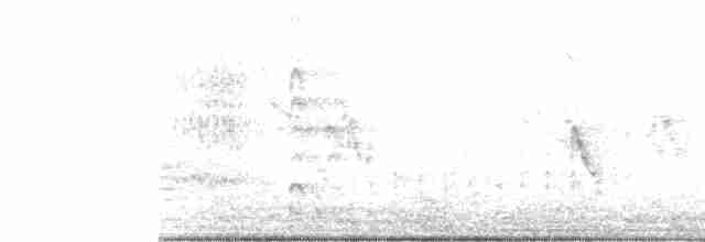 Common Gallinule - ML33553271