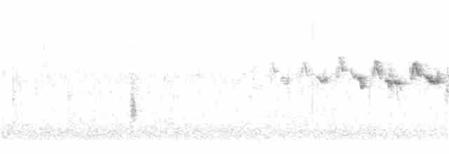 Пісняр-лісовик жовтогузий (підвид coronata) - ML335566791