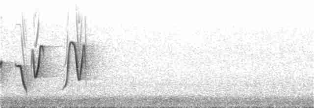 Rufous Whistler - ML33563801