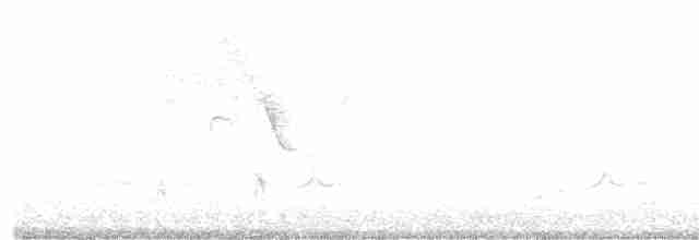 Белохвостая агуйя - ML335692081