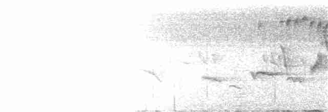 Синиця плямиста - ML335766711