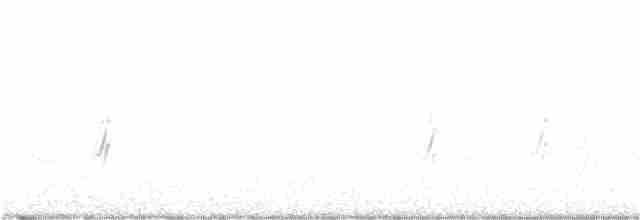 סנונית רפתות - ML335797481