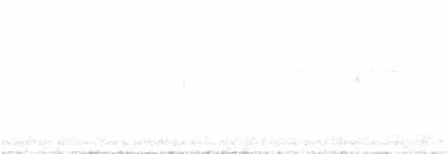 Australian Reed Warbler - ML335808591