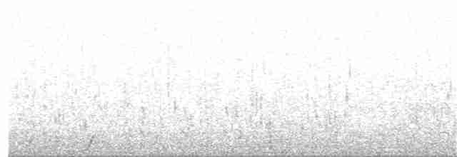 חרטומית ביצות - ML335812571
