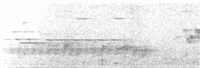 Cerulean Warbler - ML335901171