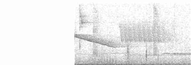 Kundinamarka Dikenkuyruğu - ML336011941