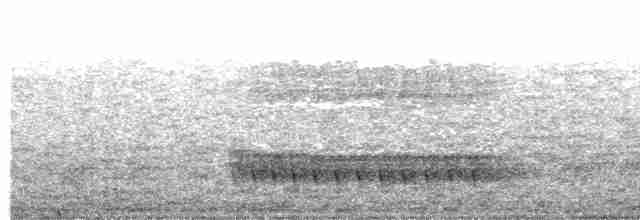 Giant Antshrike - ML336016241