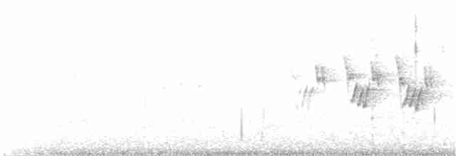 Черногорлая хвойница - ML336153111