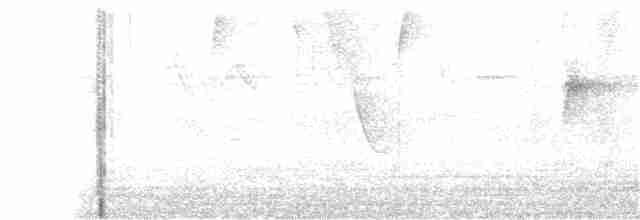 Манакін-короткокрил білочеревий - ML336192881