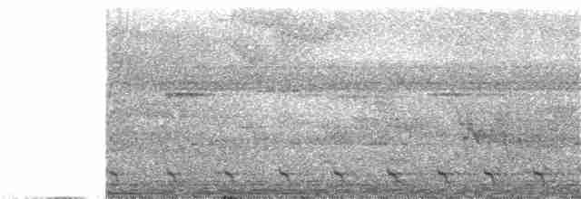 Trogón de Baird - ML336195631