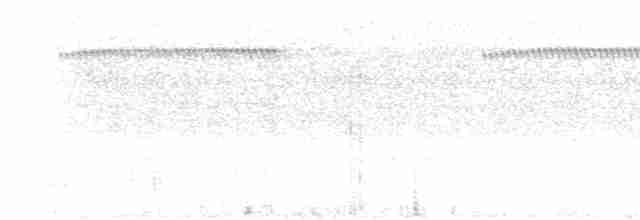 Güneyli Bükük Gagalı Tiran - ML336201141