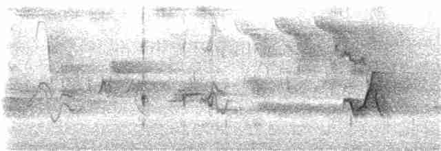 Чечевиця кармінова (підвид purpureus) - ML336232411