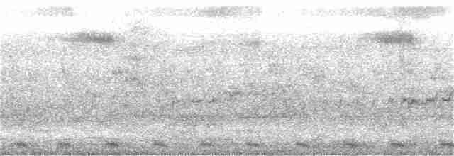 Large-tailed Nightjar - ML336322981