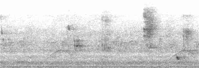 Large-tailed Nightjar - ML336322991