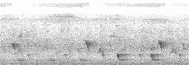 Large-tailed Nightjar - ML336323031