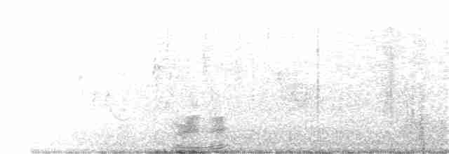 Evening Grosbeak (type 3) - ML336346681
