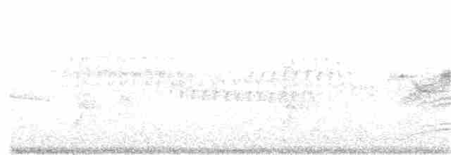 Black-throated Gray Warbler - ML336349871
