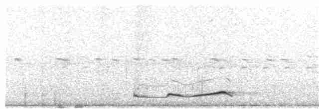 Silky-tailed Nightjar - ML336451091