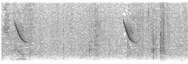 Ластовиця патагонська (підвид cyanoleuca) - ML336476041
