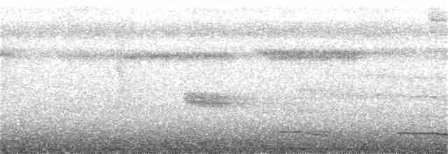 Lattice-tailed Trogon - ML336481681