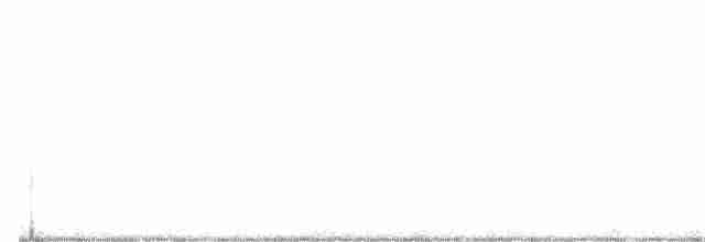Worm-eating Warbler - ML336487161