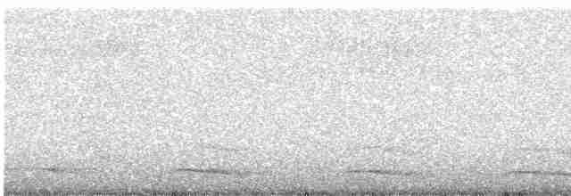 Lattice-tailed Trogon - ML336487781