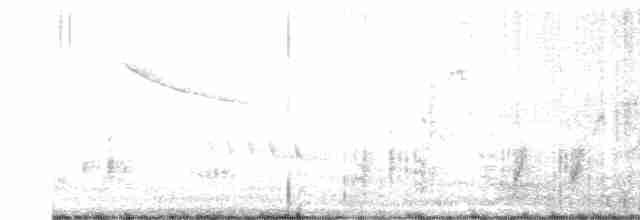 Great Reed Warbler - ML336504771