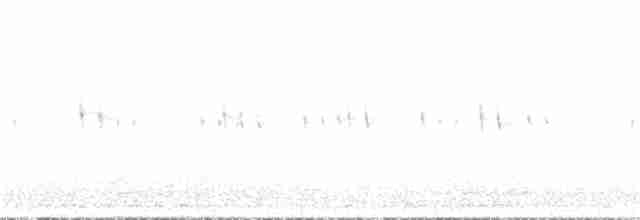 White-throated Treerunner - ML336512241