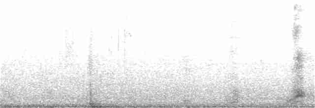 Black-crowned Night Heron - ML336523391