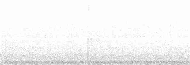 Изумрудный трогон - ML33652651