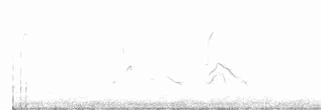 White-eyed Vireo - ML336563501