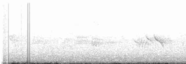 Evening Grosbeak (type 1) - ML336584321