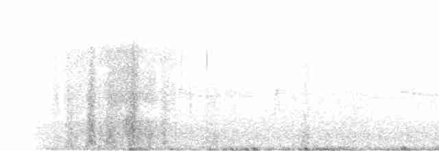 Pine Warbler - ML336693561