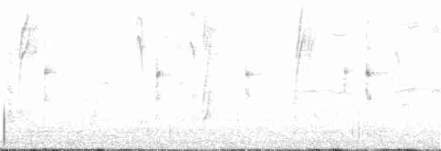 Strichelstirn-Bündelnister - ML336722281