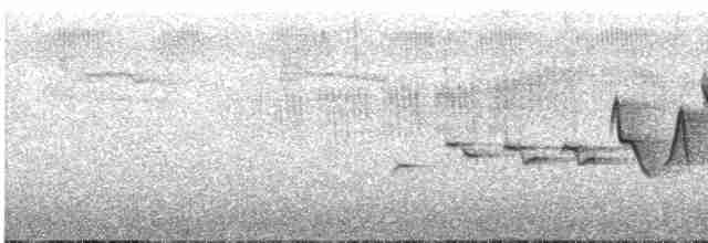 Hooded Warbler - ML336752401