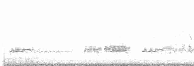 Western Grebe - ML336782491