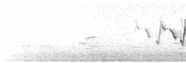 Nashville Warbler (ridgwayi) - ML336801561