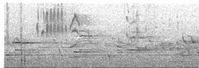 ML336851221 visualization