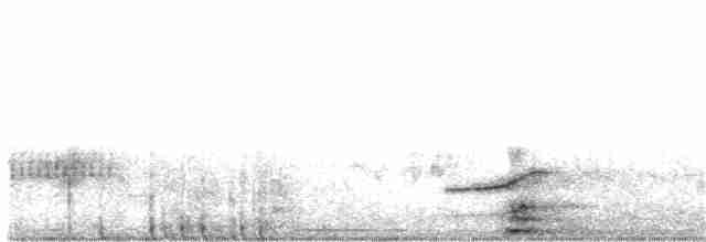 Погонич каролінський - ML336905261
