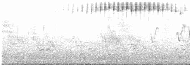 Common Yellowthroat - ML336921771