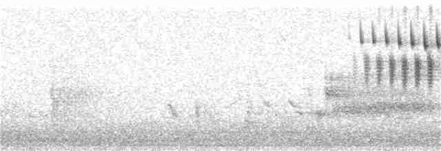 Cırcır Sesli Serçe - ML336923171
