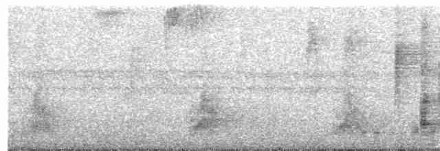 Plush-crested Jay - ML337160471