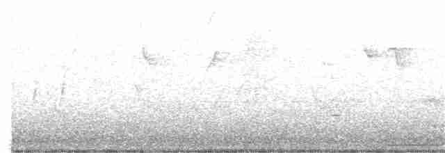 Golden-winged Warbler - ML337199011