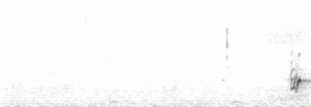 Esmer Arapbülbülü [tricolor grubu] - ML33720331