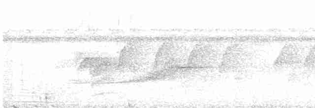 Kestane Kulaklı Arapbülbülü - ML337340281