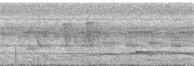 Haubenschlangenadler [cheela-Gruppe] - ML337341251