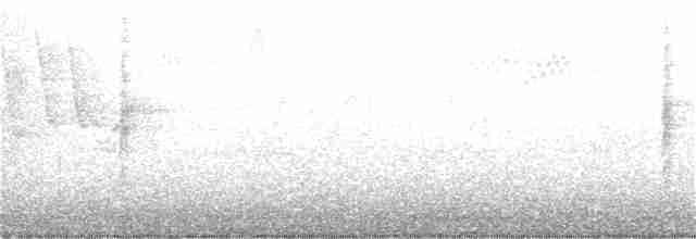 Віреон світлобровий - ML337355701