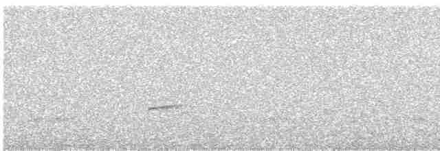 Дрізд-короткодзьоб Cвенсона - ML337404641